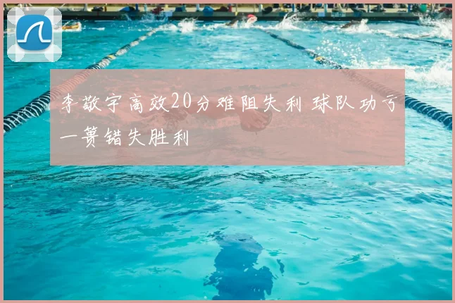 李敬宇高效20分难阻失利 球队功亏一篑错失胜利