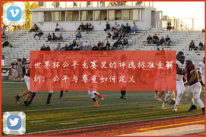 世界杯公平竞赛奖的评选标准全解析：公平与尊重如何定义