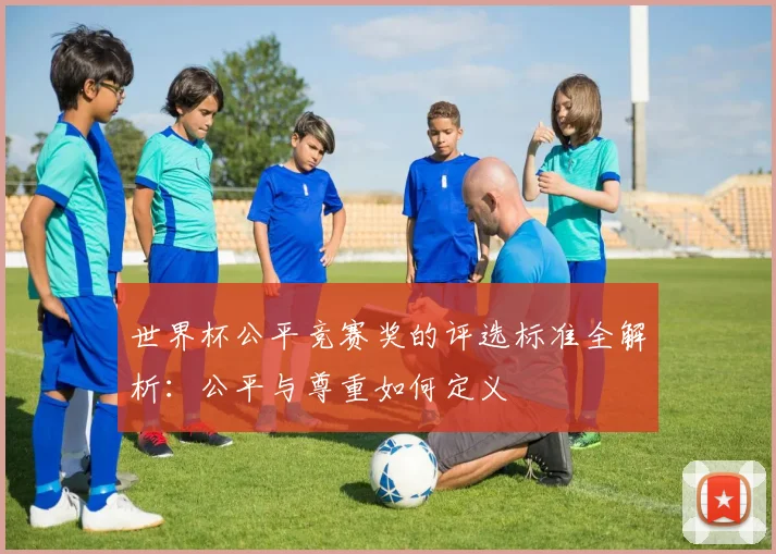 世界杯公平竞赛奖的评选标准全解析：公平与尊重如何定义